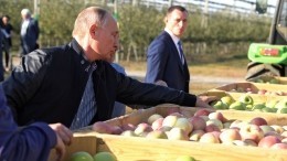 Путин провел совещание по реализации потенциала агропромышленного комплекса РФ