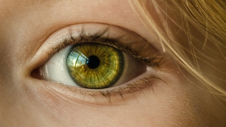 Ученые научились выращивать сетчатку человеческого глаза «в пробирке»