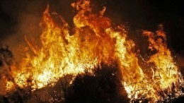 На Дальнем Востоке лесные пожары охватили площадь 170 гектаров