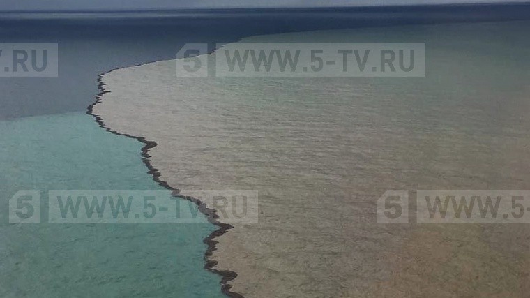 Черное море становится действительно черным — фото