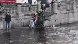 В Петербурге прохожий вытащил из ледяной воды собаку и ее хозяина