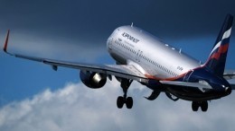 Глава «Аэрофлота» Виталий Савельев рассказал президенту о планах компании