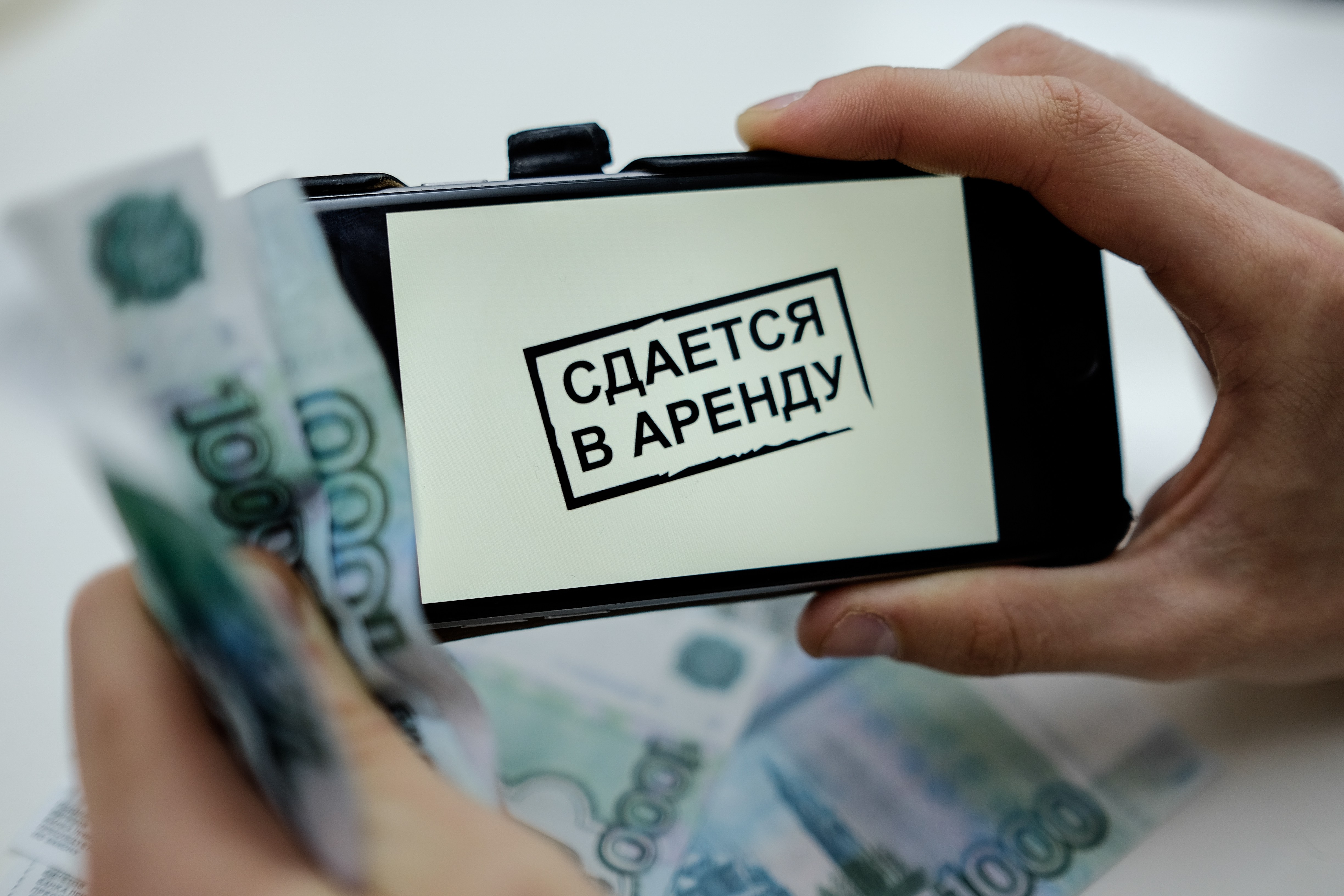 Аренда будет дорожать. Платить налоги. Туристический налог