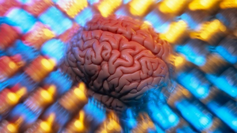 В Британии научились имитировать мозг человека