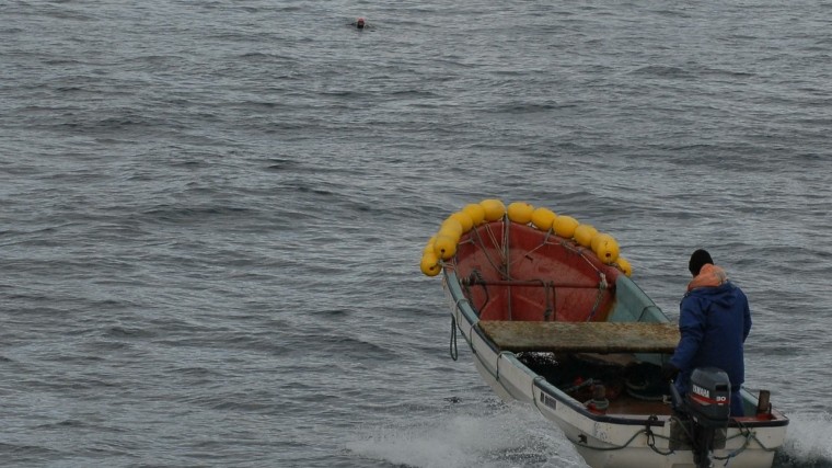 В Охотском море затонуло частное судно — есть пропавшие без вести