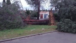 Видео: на юге Франции бушевал торнадо