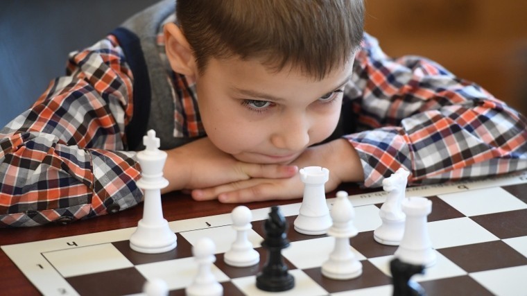 Шахматы станут обязательным предметом в российских школах в 2019 году