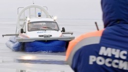 Видео: в Чите спасли собаку из ледового плена