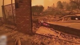 В списке погибших из-за природных пожаров в Калифорнии уже 42 человека