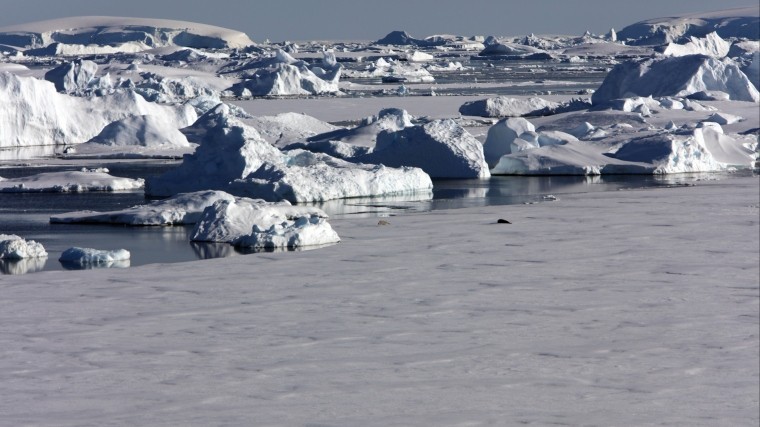В Антарктике нашли остатки древних материков