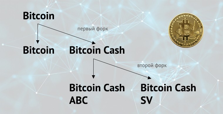 Схема форков биткоина, биткоин Cash SV и биткоин Cash ABC