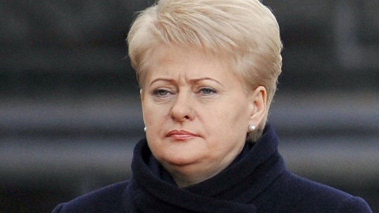 Президент Литвы не попала на празднование 100-летия Латвии из-за поломки самолета