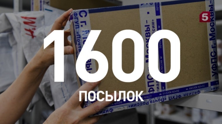 Двое сотрудников «Почты России» наворовали посылок на 7 миллионов рублей