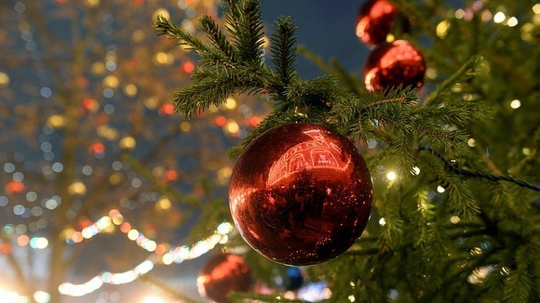 В Подмосковье выбрали главную новогоднюю елку страны