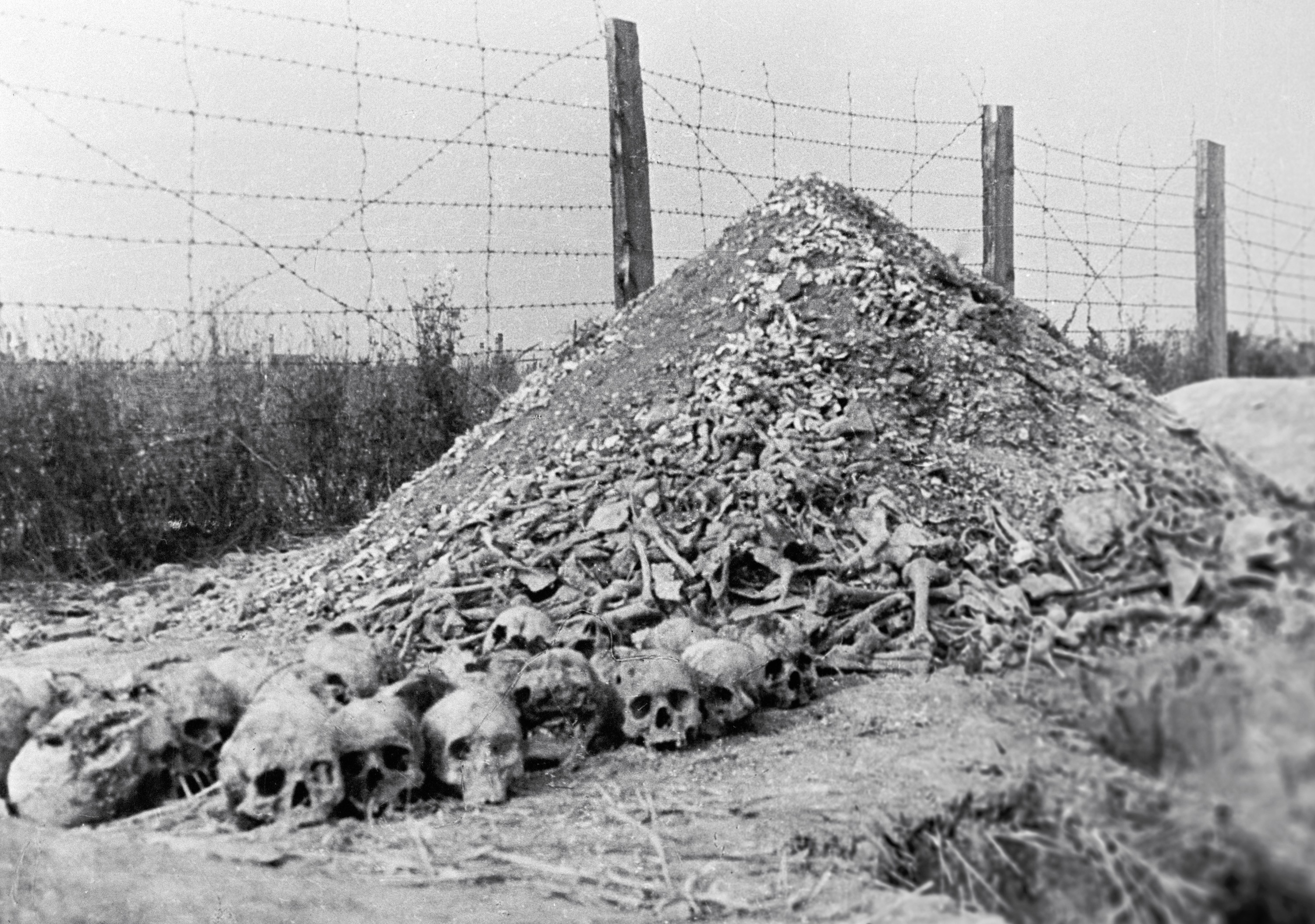 Гора человеческих костей на фоне колючей проволоки в концлагере Майданек.