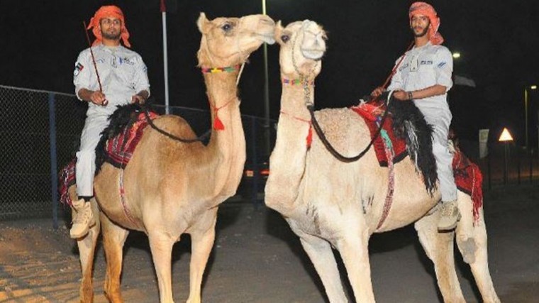 Эмиратские полицейские будут следить за порядком верхом на верблюдах
