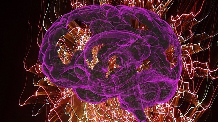 «Обратная связь с мозгом» поможет нам эффективнее работать — исследование