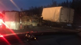 В Петербурге на КАД столкнулись 12 автомобилей