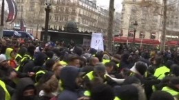 Полиция применила слезоточивый газ против «желтых жилетов» в Париже