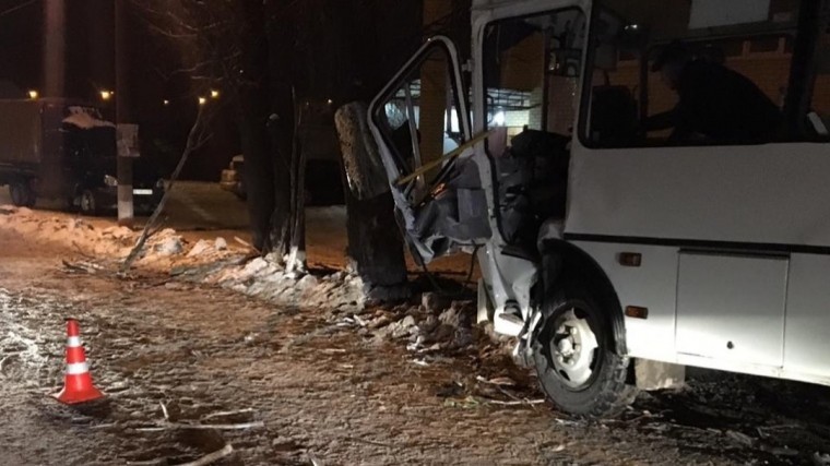 Автобус с пассажирами протаранил дерево на трассе в Нижегородской области