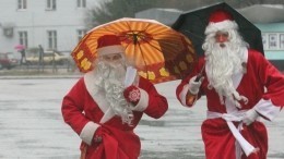 Банда Деда Мороза ограбила кондитерскую в Краснодаре — видео