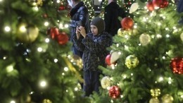 Стало известно, сколько россиян хранят новогоднюю елку до лета
