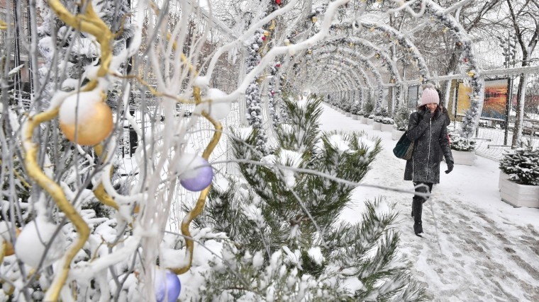 Москва не останется без снега на Новый год