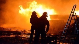 В России запретили строительство на противопожарных полосах