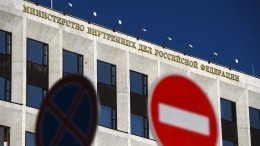 Вид на жительство в России для иностранцев предложили сделать бессрочным