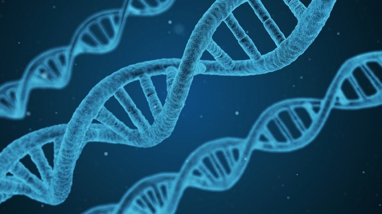 Ученого, впервые в истории изменившего ДНК эмбриона человека, могут казнить