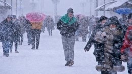 «Полет из Москвы в Москву»: самолет Боярского не приземлился в Петербурге из-за метели