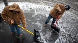 «Лопата вместо штанги»: Власти Петербурга предложили укреплять тело не в залах, а на улицах