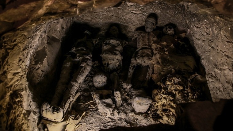 В Подмосковье найден некрополь с артефактами, которым 4,5 тысячи лет