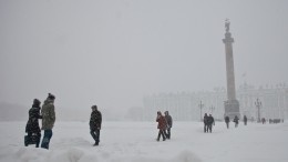 МЧС предупреждает: Петербург накроет мощный снегопад