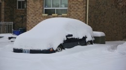 Глава Петербурга ночью лично проинспектировал ход уборки города от снега