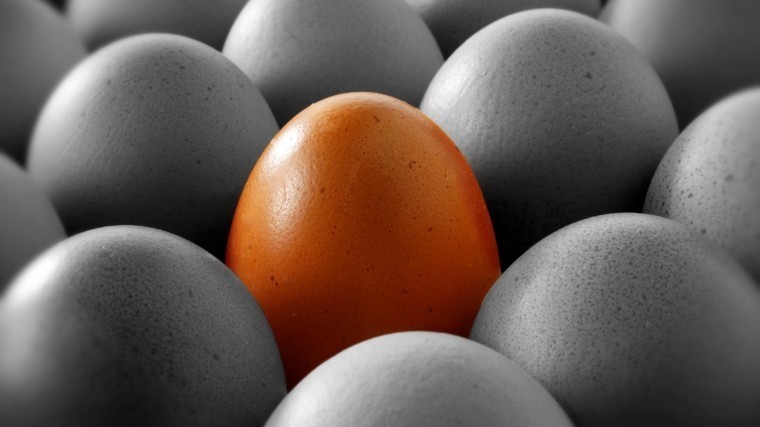 Самое популярное фото в инстаграм яйцо