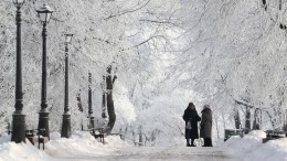 Жители Москвы и Петербурга готовятся к аномальным холодам