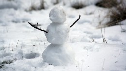 Ребенка избили в Саратове из-за сломанного снеговика — видео