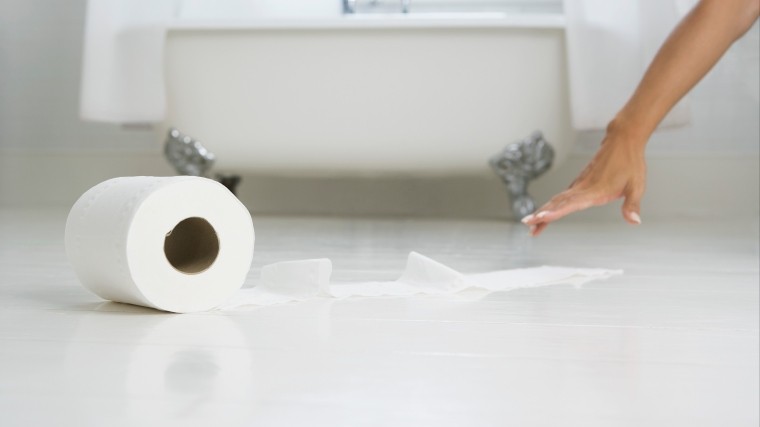 Емкость с водой вместо туалетной бумаги: Жителей ФРГ просят подумать об экологии