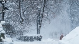 В московских аэропортах отменяют вылеты из-за снегопада