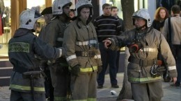 Видео: Из затопленной кипятком квартиры в Петербурге спасли кошку и собаку