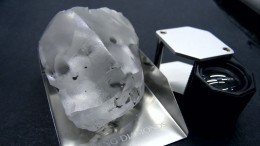 Алмаз размером с куриное яйцо выставили на аукционе в США