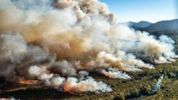 Тасмания полыхает. Лесные пожары подбираются вплотную к жилым домам