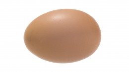 Стало ясно, зачем пользователям Instagram подсунули яйцо — фото