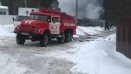 Десятки собак и кошек сгорели в приюте для бездомных животных в Подмосковье