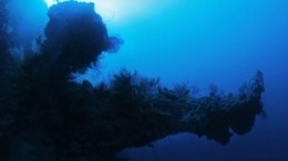 Загадка раскрыта? Подводный город инопланетян найден в Бермудском треугольнике