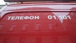 В результате пожара в Кудрово пострадали два человека