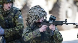 В Минобороны Эстонии заявили о подготовке к войне