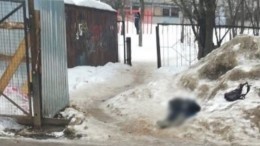 Видео: Подросток в Вологде надышался газом из баллончика и умер