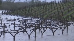 Видео: Русская река затопила город в Калифорнии